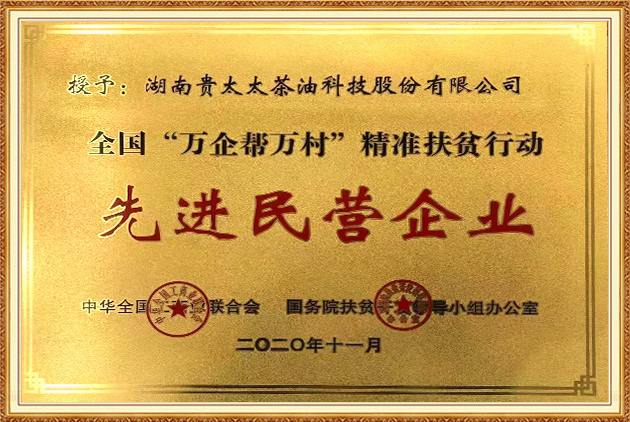 全國(guó)“萬(wàn)企幫萬(wàn)村”精準(zhǔn)扶貧行動(dòng)先進(jìn)民營(yíng)企業(yè)