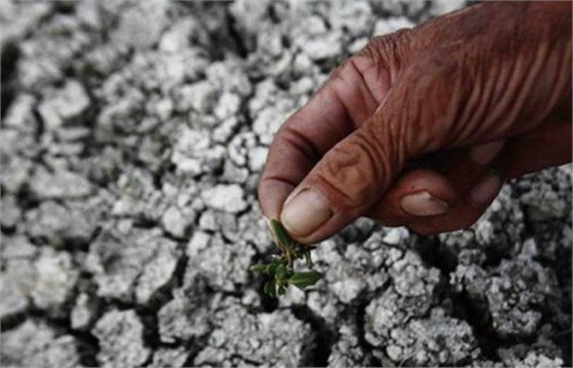 鈍化土壤重金屬