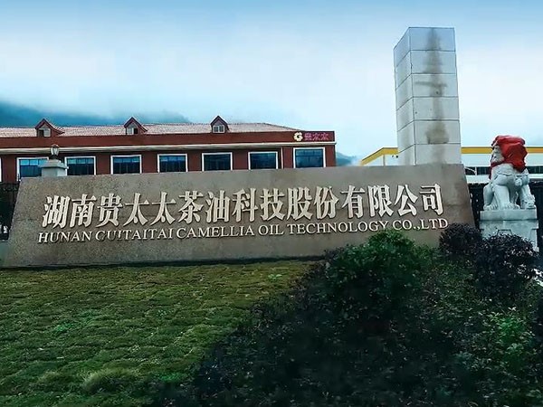 貴太太專題片